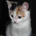 Photo of Elouise