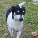 Photo of Minty