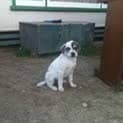 Photo of Mika