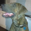 Photo of Max