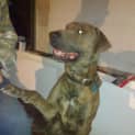Photo of Max