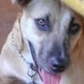 Photo of Kirra