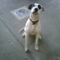 Photo of Jaxson
