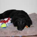 Photo of Vinnie