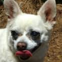 Photo of Terana