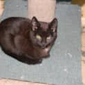 Photo of Tux