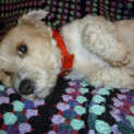 Photo of Wordsworth