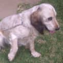 Photo of Trinny