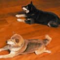 Photo of Tana And Jun Are Trying A New Home Together!