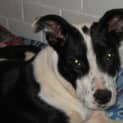 Photo of Sally (On Trial)