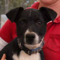 Photo of Issac