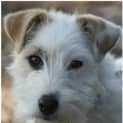 Photo of Frazer