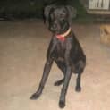 Photo of Cleo