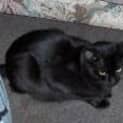 Photo of Storm