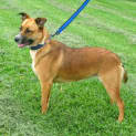 Photo of Molly