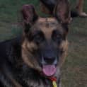 Photo of Karu
