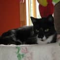 Photo of Mavis (On Trial)