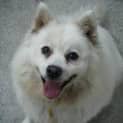 Photo of Donna