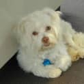 Photo of Monty