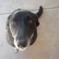 Photo of Cheeky