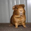 Photo of Sandy