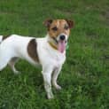 Photo of Milly