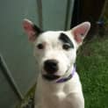 Photo of Angel