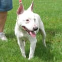 Photo of Bridie