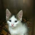 Photo of Ivan