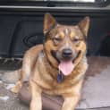 Photo of Tanka (On Trial)