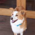 Photo of Missy