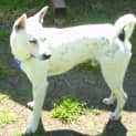 Photo of Rango (On Trial 7/2/13)