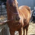 Photo of Bobbi