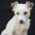 Photo of Junior