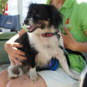 Photo of Rockie