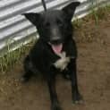 Photo of Cilla
