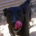 Photo of Cilla