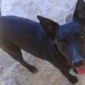 Photo of Cilla