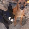 Photo of Cilla
