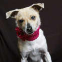 Photo of Mia