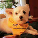 Photo of Bubbles (On Trial In A New Home 4/11/12)