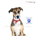 Photo of Emma (Adopted January 2013)