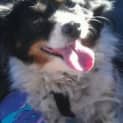 Photo of Roxy