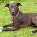 Photo of Tess Id9428