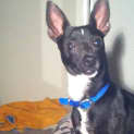 Photo of Pocket