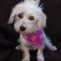 Photo of Chloe