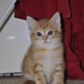 Photo of Jerry