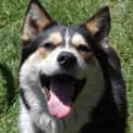 Photo of Deejay