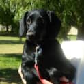 Photo of Seve *On Trial In His New Home*