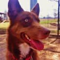 Photo of Ruby